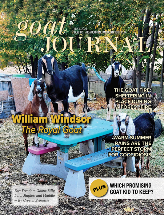 Goat Journal Digital Issue 9